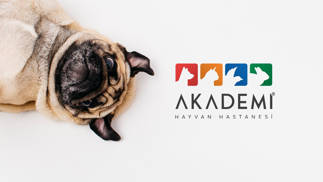 Akademi Hayvan Hastanesi