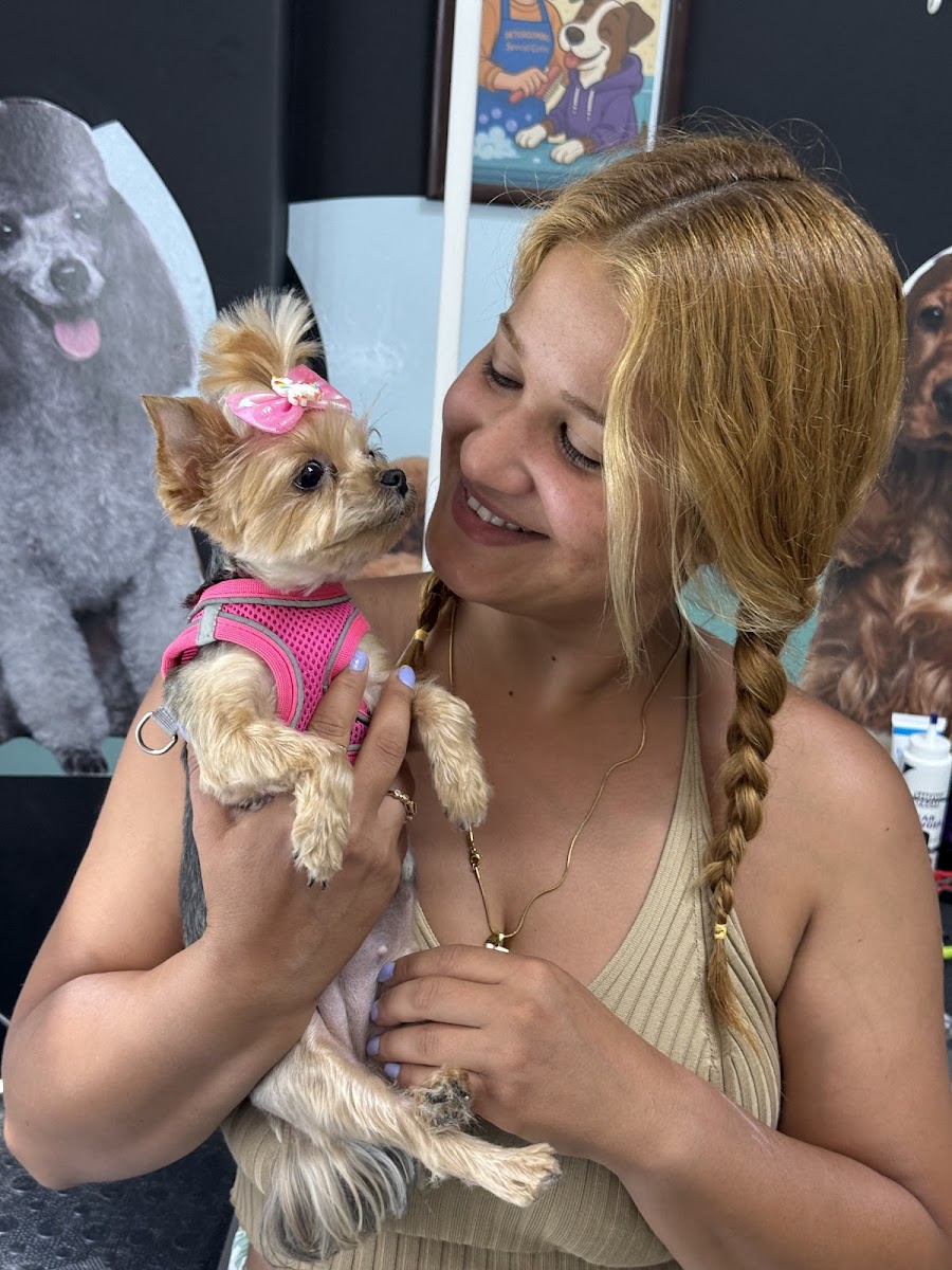 PET GROOMING ŞEVVAL ÇETİN