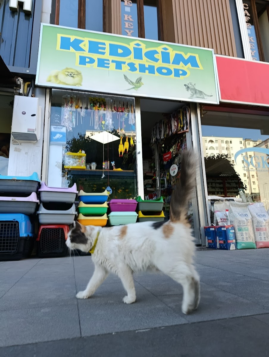 Kedicim Petshop