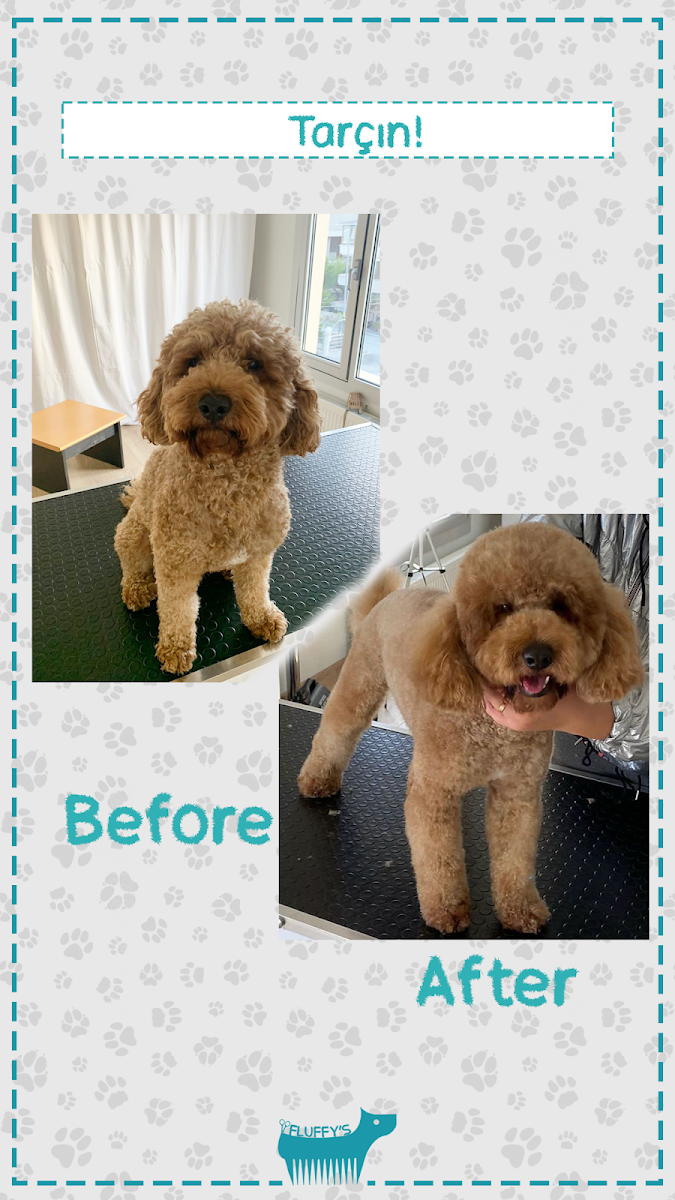 Fluffy's Pet Kuaför