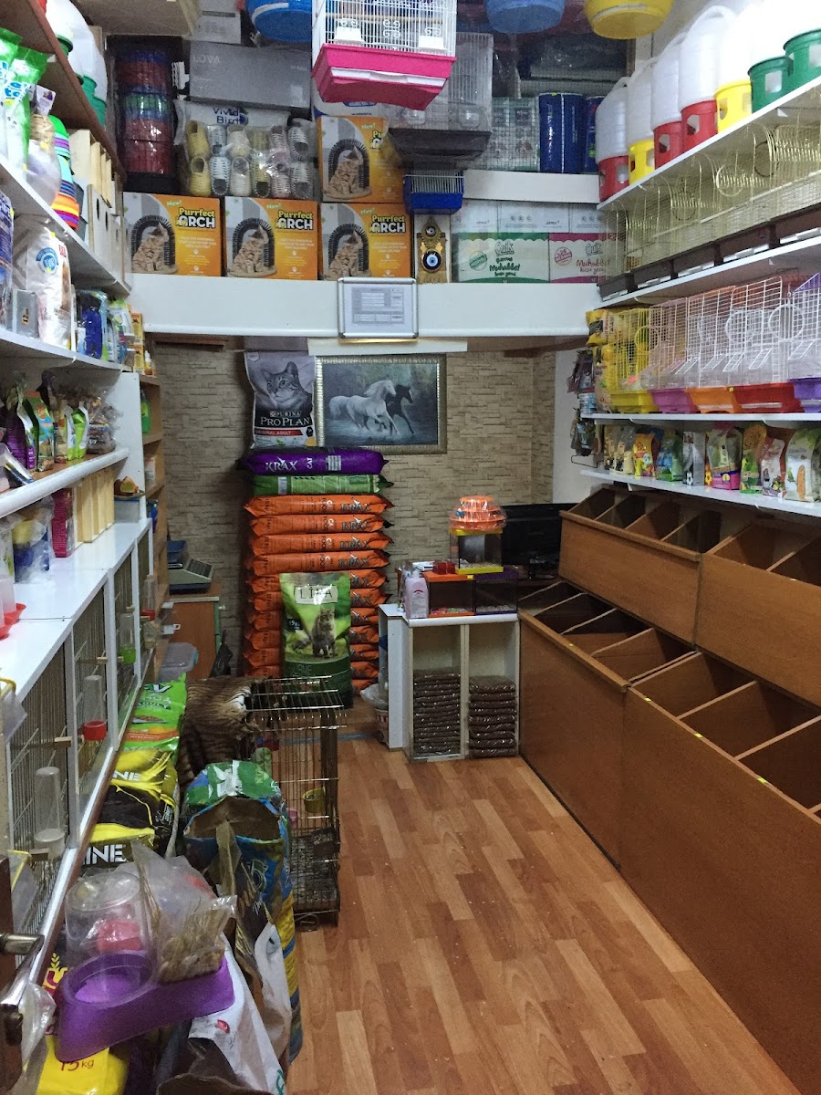 KEÇECİ PET SHOP