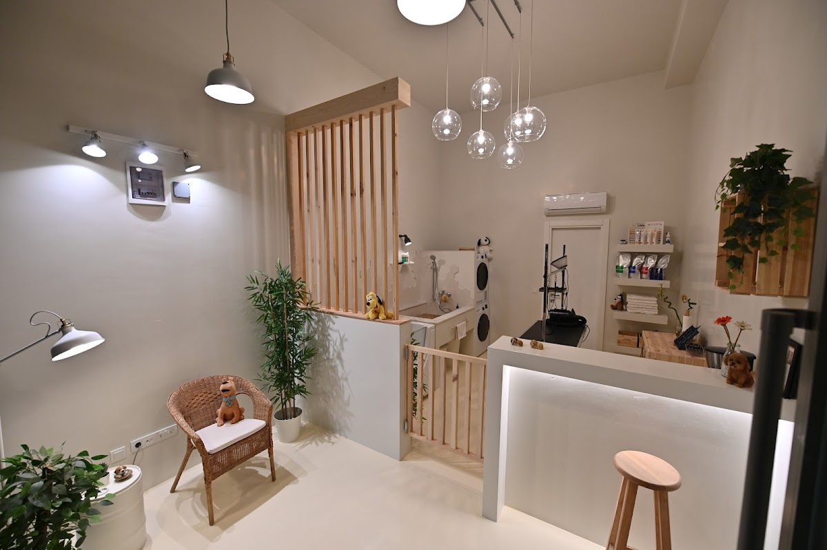 Groomer Bone | Caddebostan Profesyonel Pet Kuaför