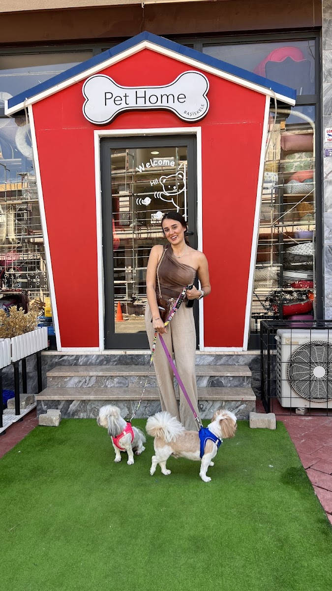 Başiskele coco pet shop (pet kuaförü)