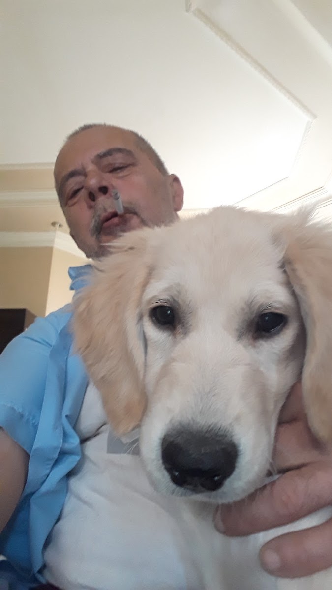 Fırat Veteriner Kliniği