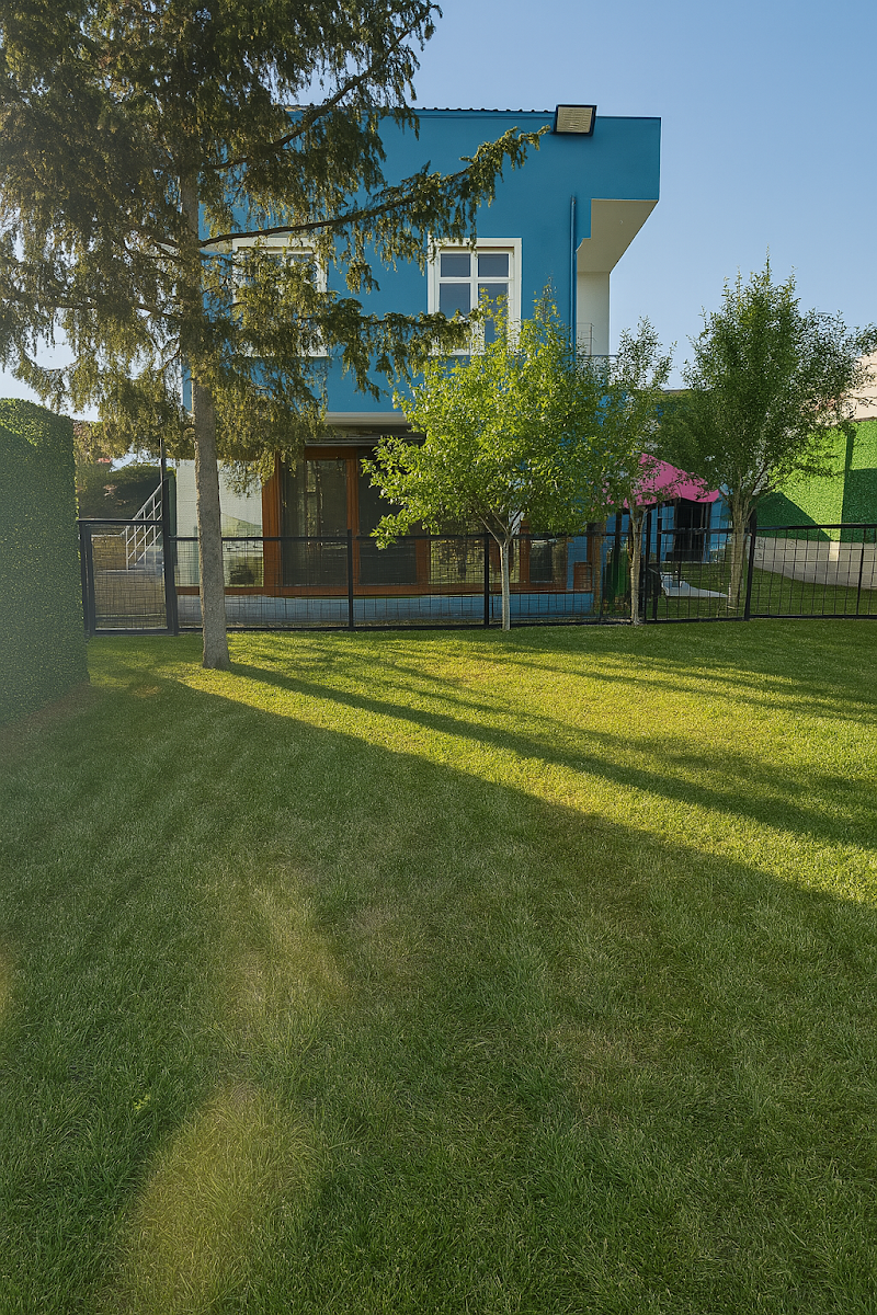 Mika Pet Kuaför - Pet Hotel Kreş