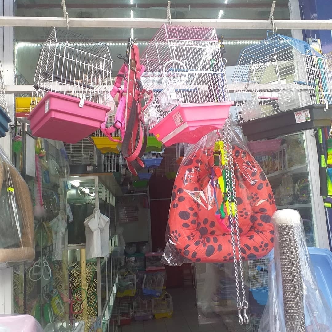 GÜNDÜZ PET SHOP