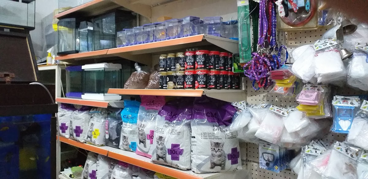 Egzotik Petshop Karaman