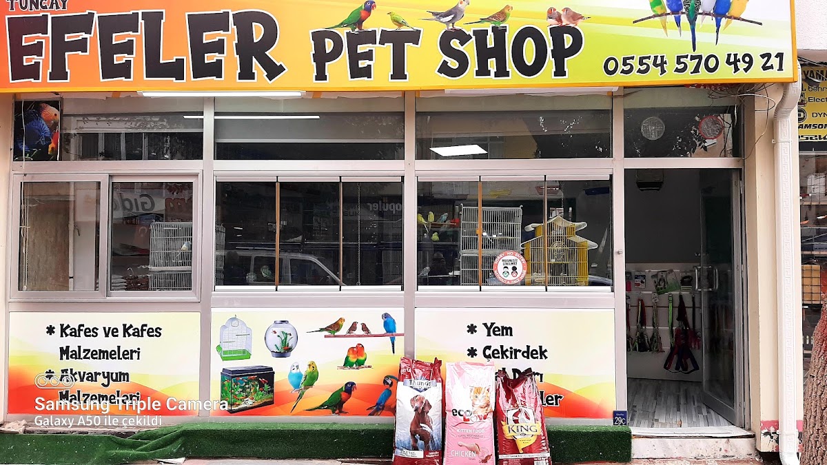 Efeler Petshop