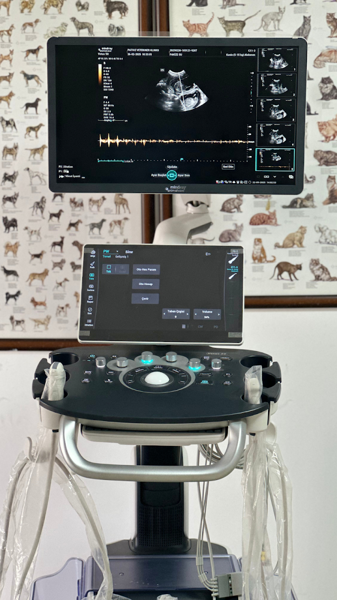 PATİCE VETERİNER KLİNİĞİ - NEVŞEHİR VETERİNER