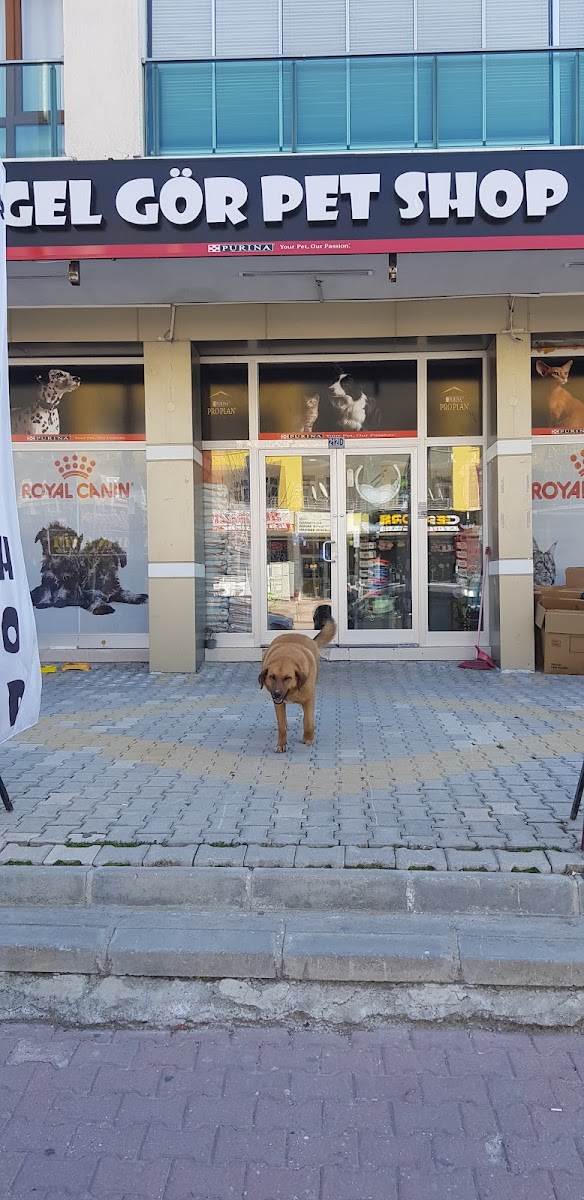 Gel Gör Petshop