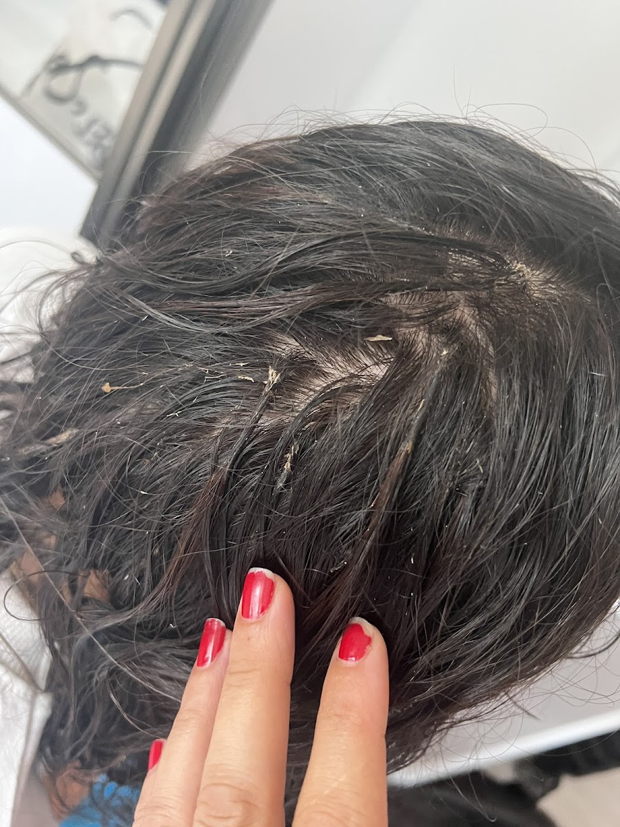 Altınel Bayan Kuaförü