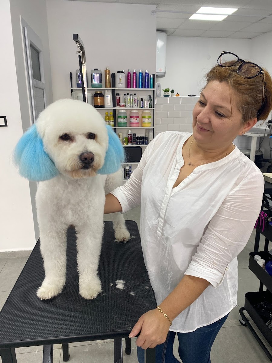 KUKİ PETKUAFÖR ve 2z PROFESYONEL yönetim