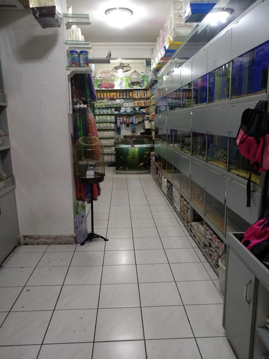 Levent Akvaryum Petshop