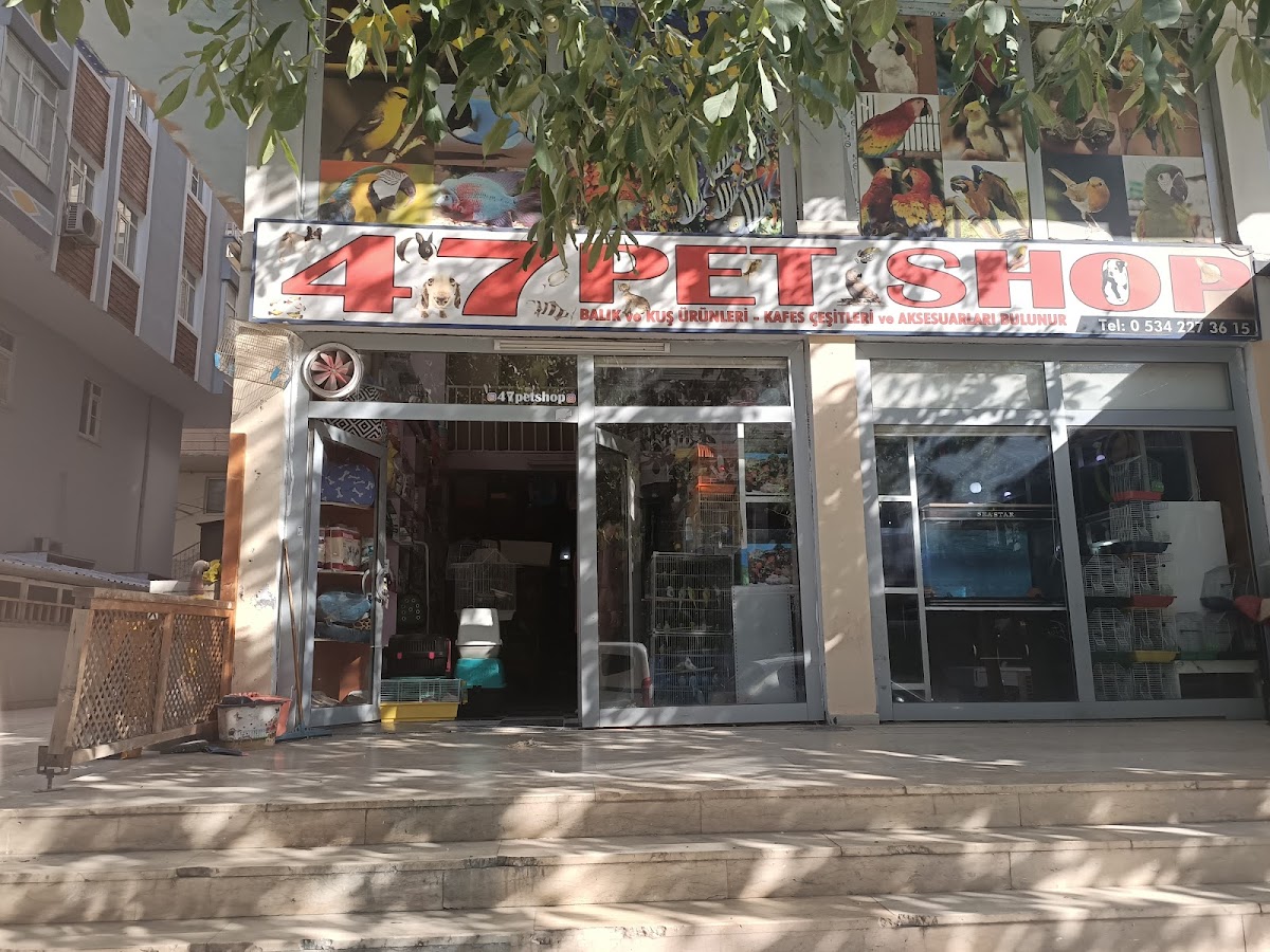 47 Pet Shop