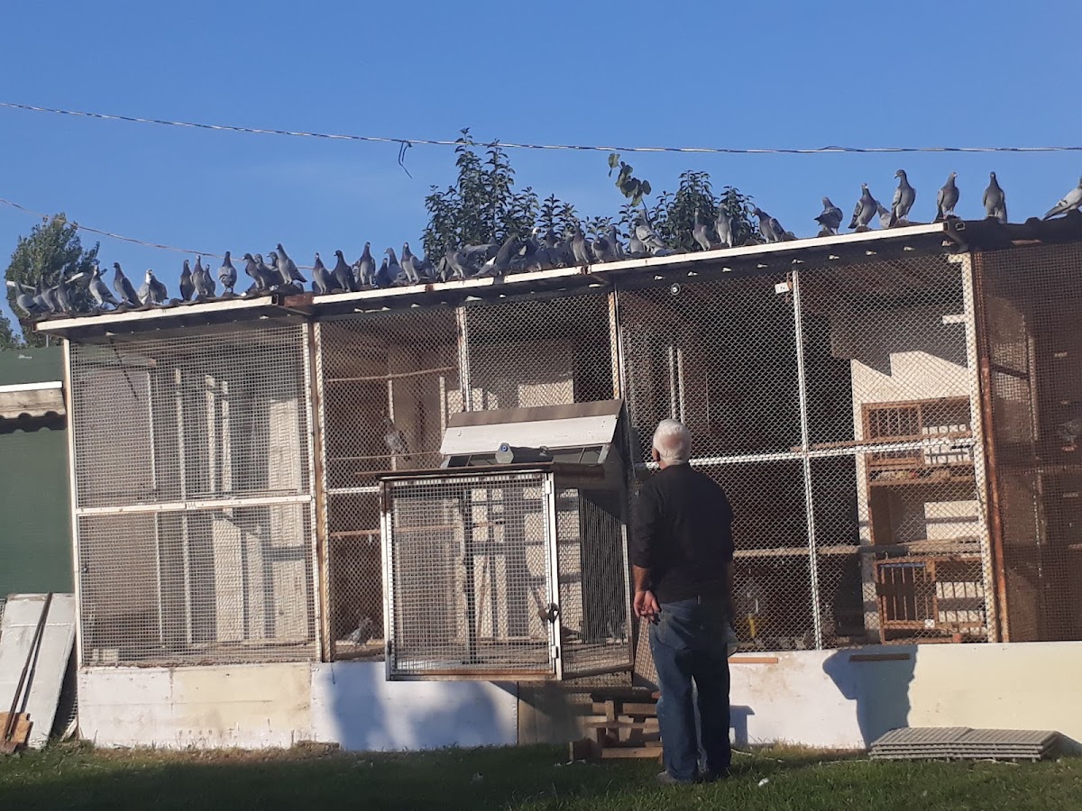 Kırklareli Kennel Club