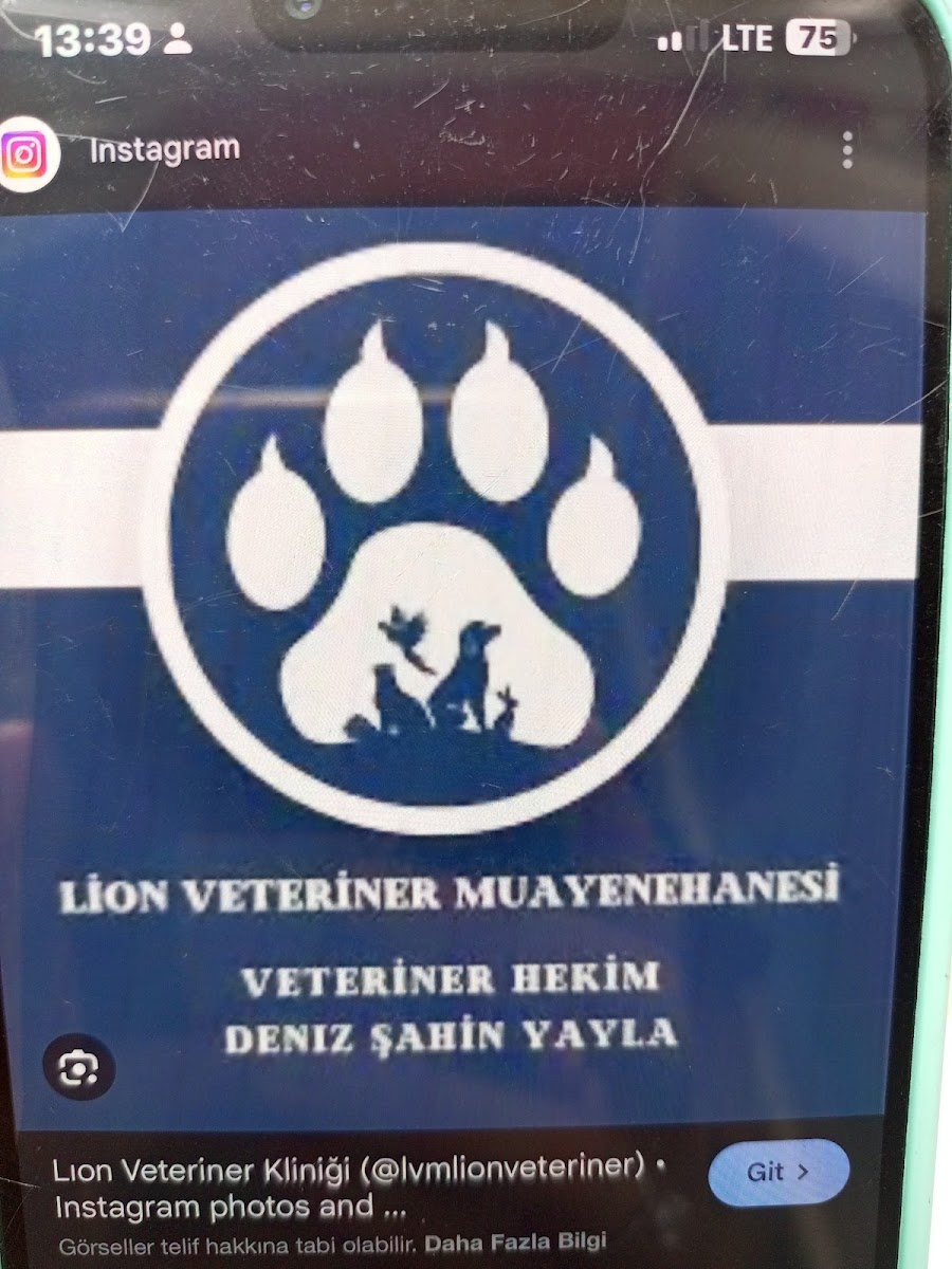 Lion veteriner muayenehanesi