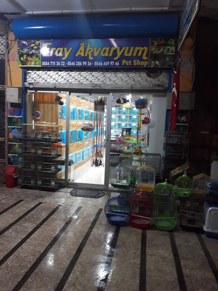 ERAY AKVARYUM&PETSHOP