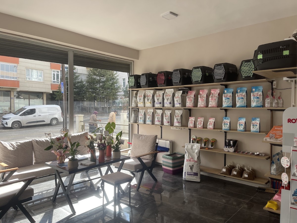 Baykuş Veteriner Kliniği/ Kedi Köpek Kuş Veteriner Kliniği