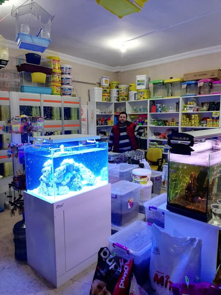 BUĞLEM PETSHOP 1 (Osmaneli/BİLECİK)