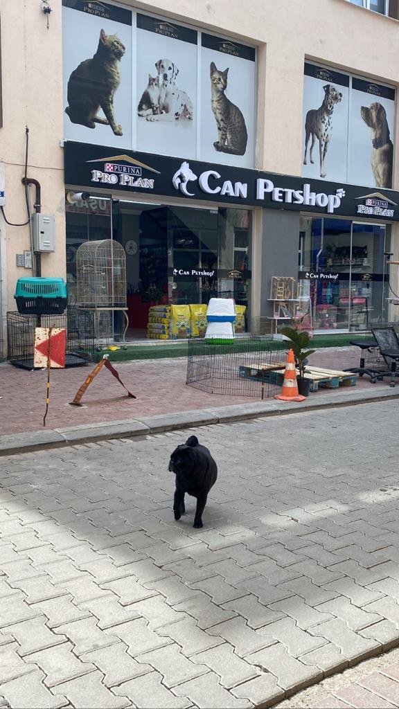 Can Petshop