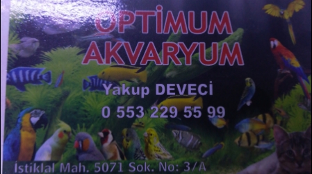 Osmaniye optimum petşop