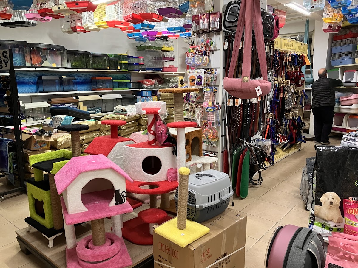 Aktaş Akvaryum & Petshop