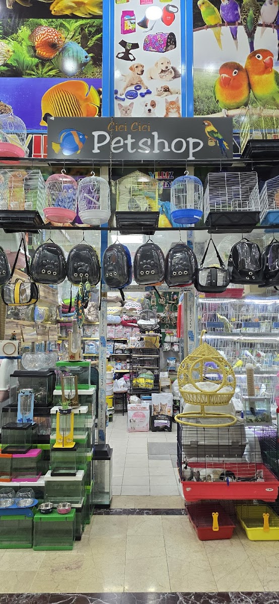 Cici petshop