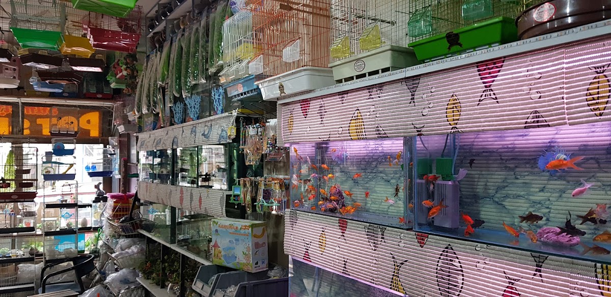 Niğde Sümelya petshop