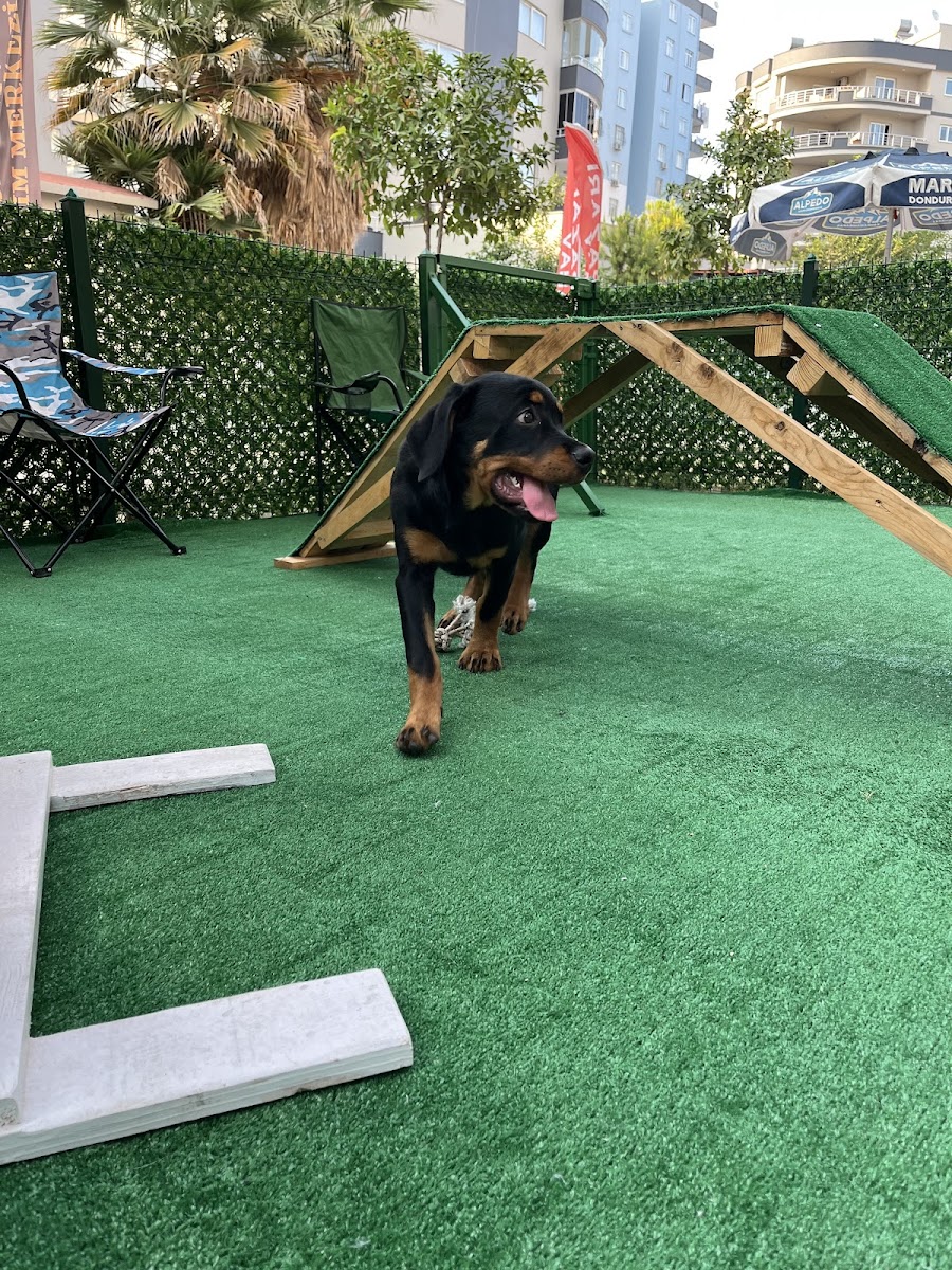 Mersin Evcil Hayvan Genel Bakım Merkezi