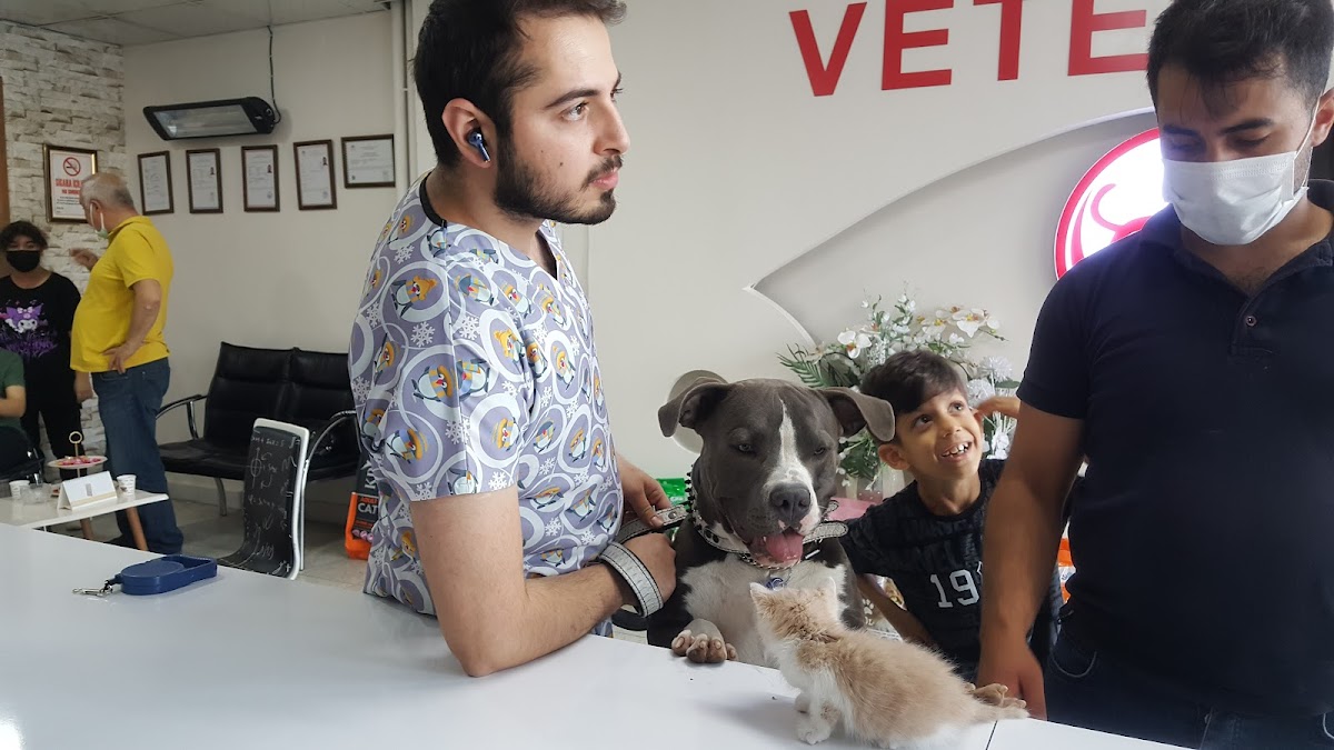 MALATYA VETERİNER KLİNİĞİ