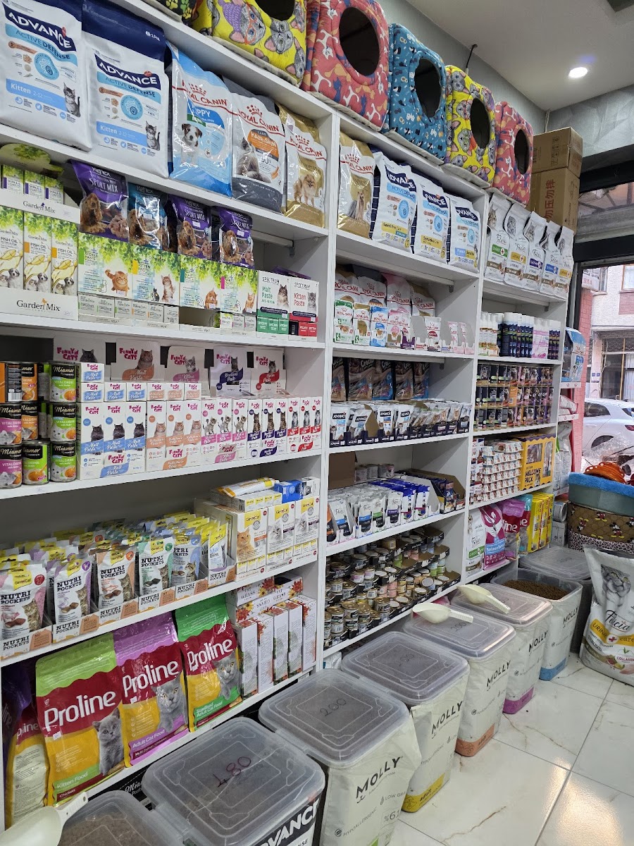 ELAZIĞ TOM & JERRY PETSHOP