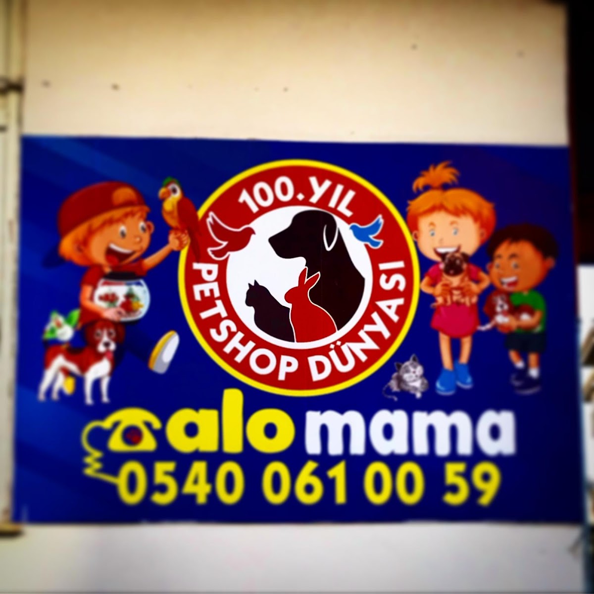 100 yıl petshop