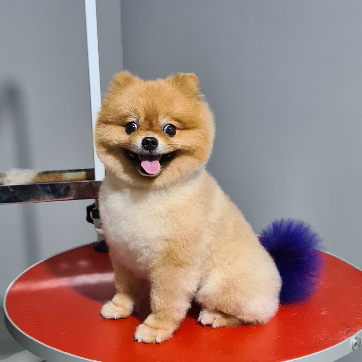 Pars petkuaför&shop