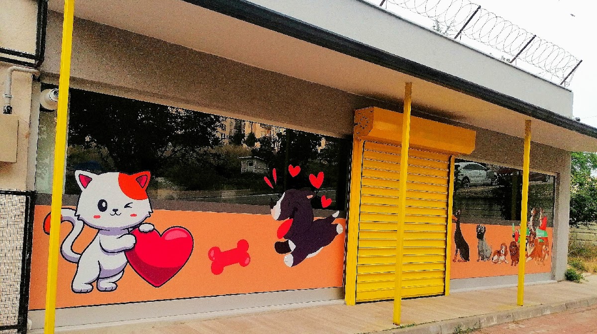 Bursa Jessie pet kuaför