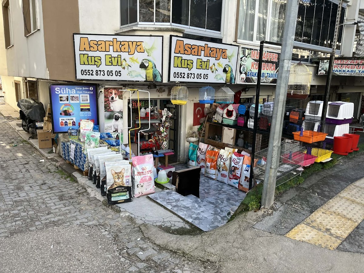 Asarkaya Petshop Kuşevi