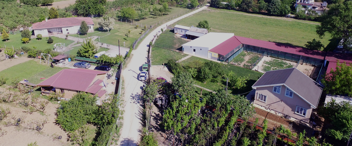 Mutlu Patiler Kedi Köpek Oteli