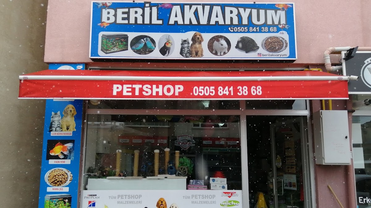 Beril Akvaryum Bolu’da bir Petshop