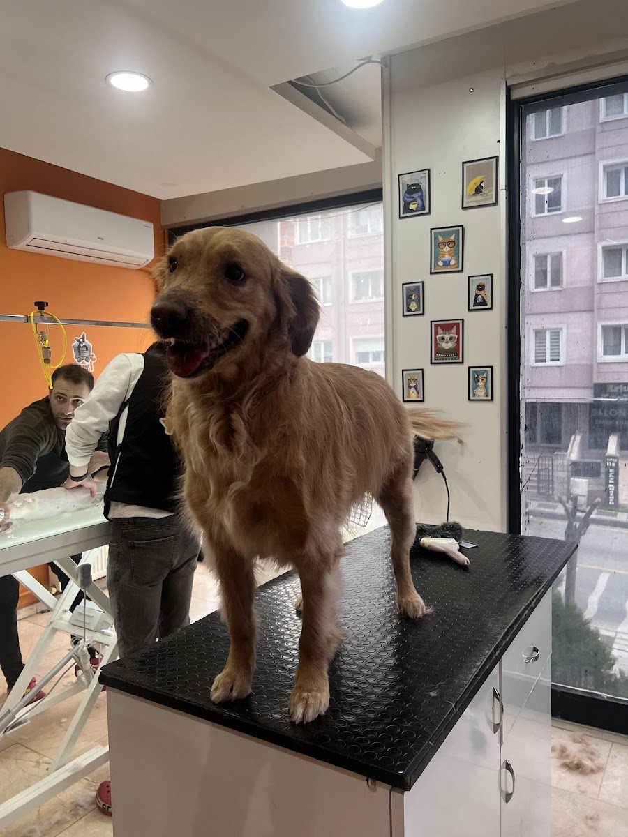 Yuyi Pet Kuaför
