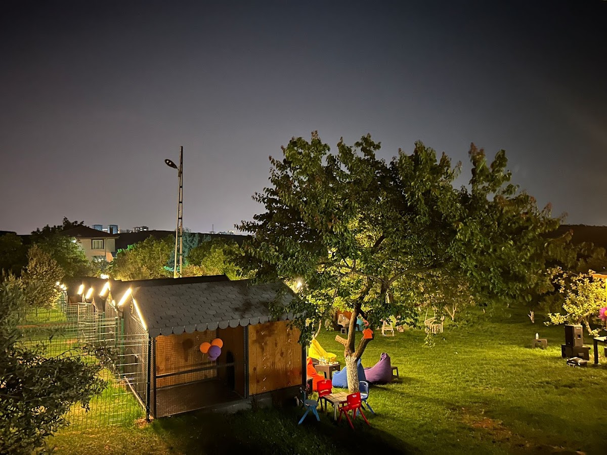 Park Petpoint Tuğba