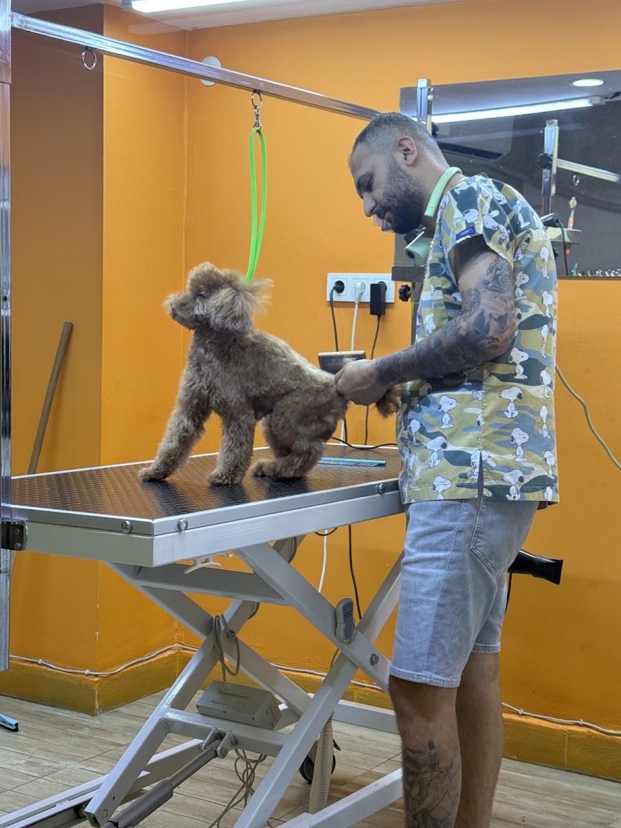 Bulldog Pet Kuaför & Pet Market