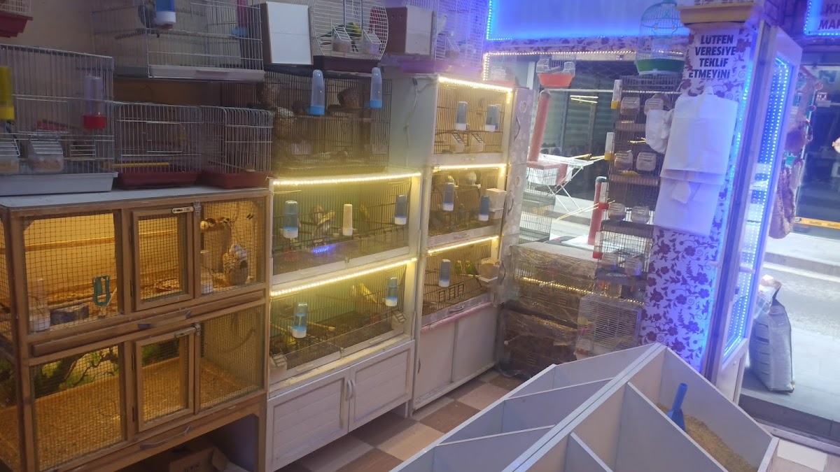 Batın petshop
