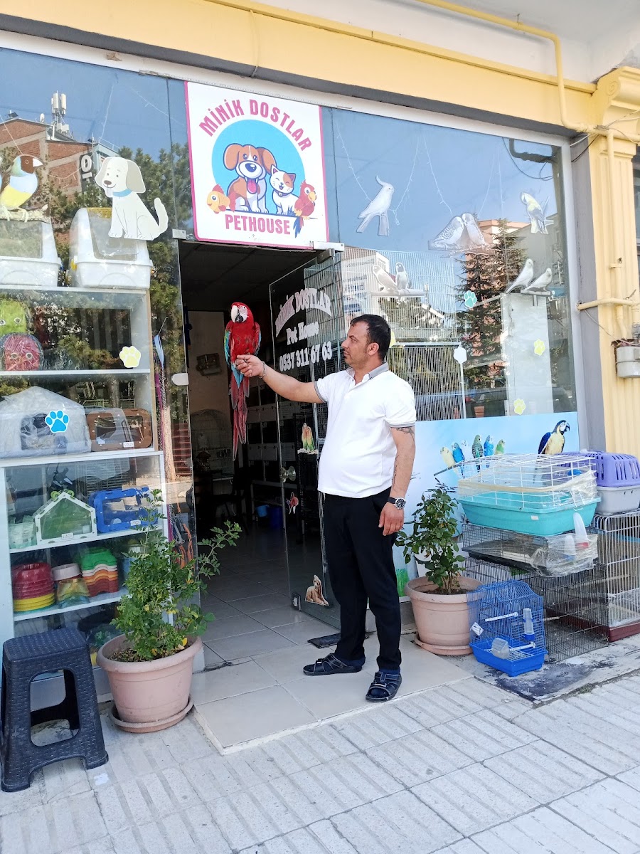 Minik Dostlar Pethouse