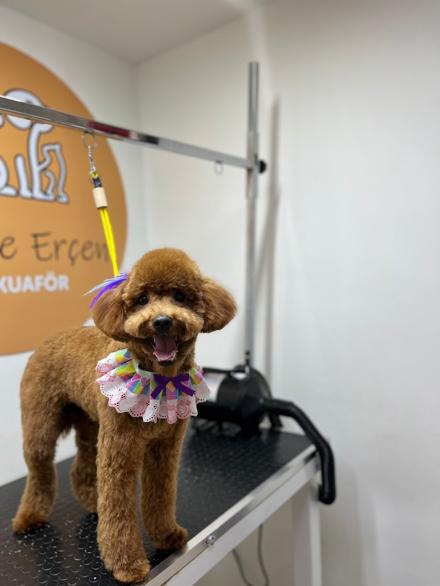 Hanife Erçen Pet Kuaför