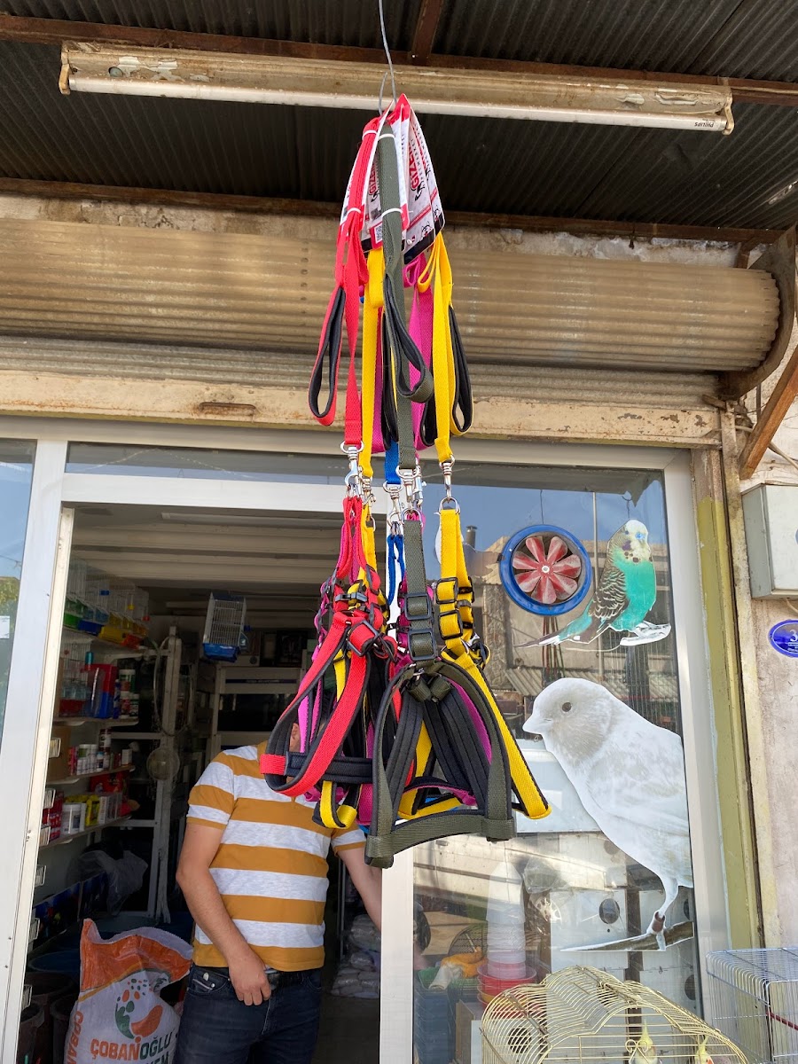 ATLAS AKVARYUM KUŞ DİYARI