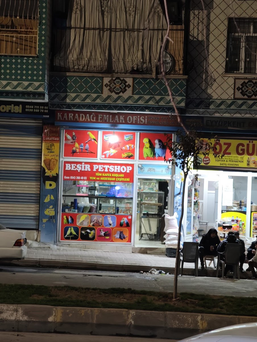 BEŞİR PETSHOP. KUŞÇU