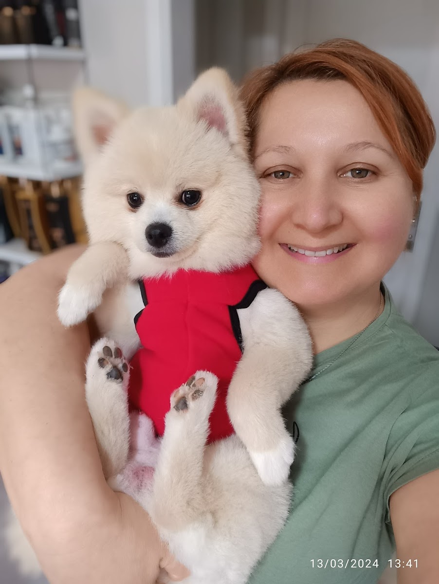 BAKIRKÖY KAYRA PET KUAFÖR PET SHOP