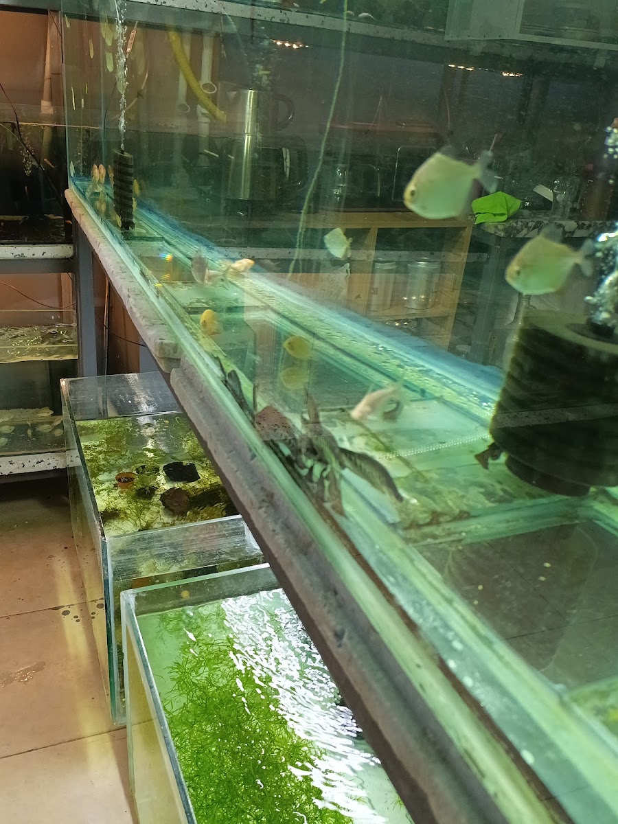 PETRA AQUA PETSHOP