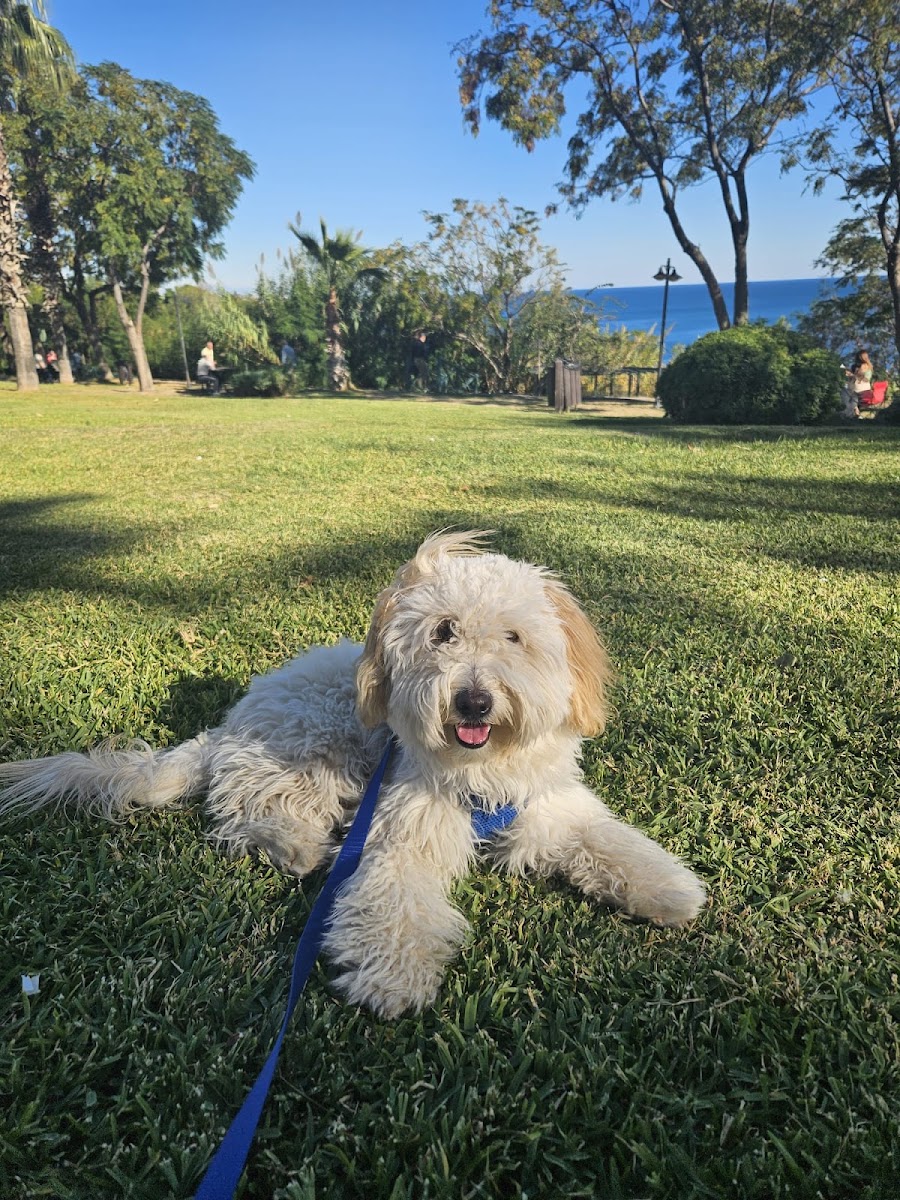 EXPO PET OTEL ANTALYA