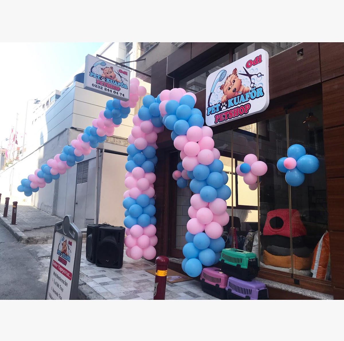 Odi Pet Kuaför Ve Petshop