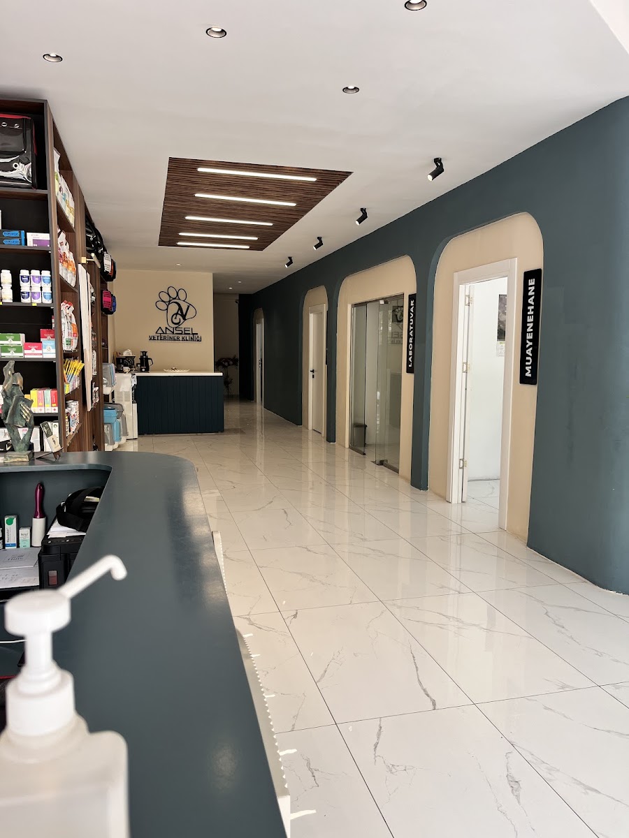 Ansel Veteriner Kliniği